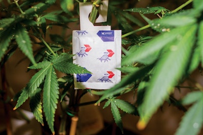 Beneficial Bugs 9431 Fmt