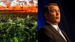 Grow Room Boehner