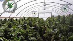 Indoor3