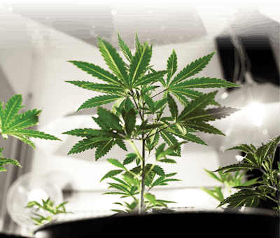 I Stock 823494456 Fmt