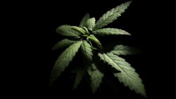 I Stock 898450680 Extended Fmt