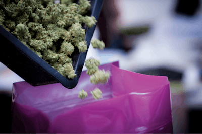 Loading Pound Bag 1 Fmt