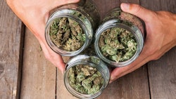Marijuana Buds In Jars Adobe Stock Credit Aleksandar Kamasi Resized