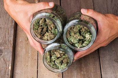 Marijuana Buds In Jars Adobe Stock Credit Aleksandar Kamasi Resized