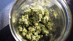 Marijuana In Jar Adobe Stock Credit Dratheverliving Resized