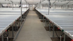 Nexus Supporting Story2 Web