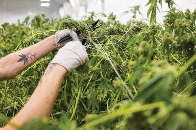 Worker Harvest Feb 14 2018 8843 Fmt