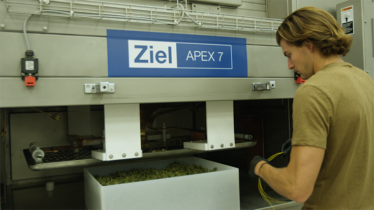 Ziel Apex Resized