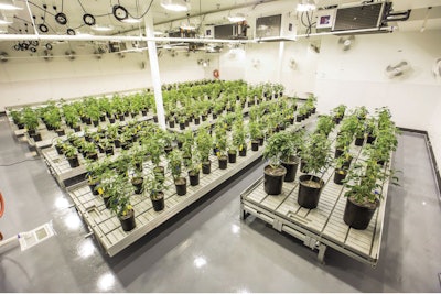 2018 04 05 Photo 00001414 Fmt