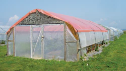 3 Tips For Better Greenhouse Shading