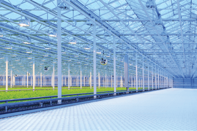 Adobe Stock 104188956 Fmt