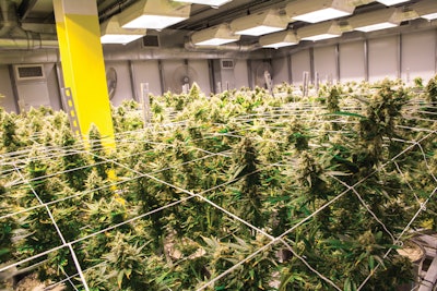 Adobe Stock 140165797 Fmt