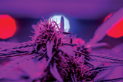 Adobe Stock 170447720 Fmt