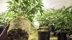 Adobe Stock 85696175 Fmt