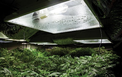 Adobe Stock 99060173 Fmt