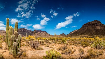 Arizona