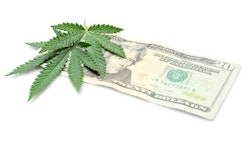 Cannabis Leaves And Money Adobe Stock Credit Africa Studio Resized