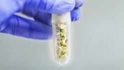Cannabis Test Tube Adobe Stock Credit Elroi Resized