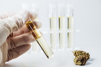 Cannabis Testing Adobe Stock Credit Nokturnal Resized