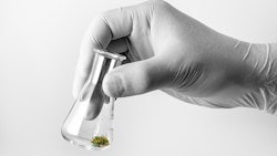 Hand Holding Marijuana Bud In Test Tube Adobe Stock Credit Forance Resized
