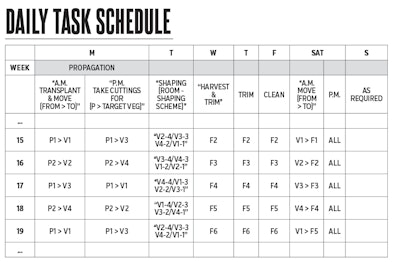 How To Daily Task Schedule Fmt