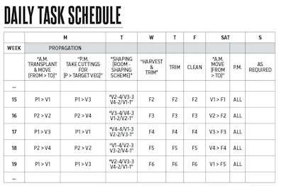 How To Daily Task Schedule Fmt
