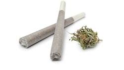 Joints And Bud Adobe Stock Credit Picture Partners Resized