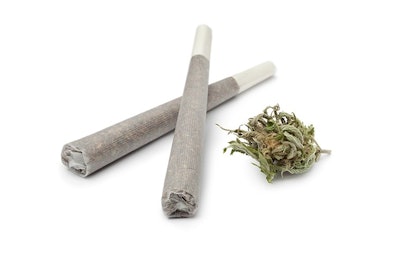 Joints And Bud Adobe Stock Credit Picture Partners Resized