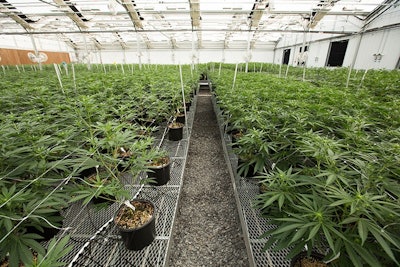 Pharma Cann3 Resized