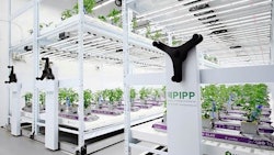 Pipp Horticulture Resized