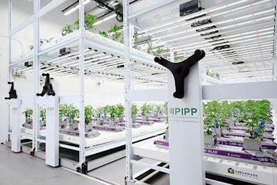 Pipp Horticulture Resized