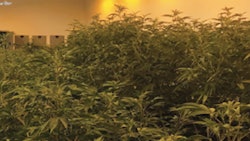 Smokey Point Productions Fmt