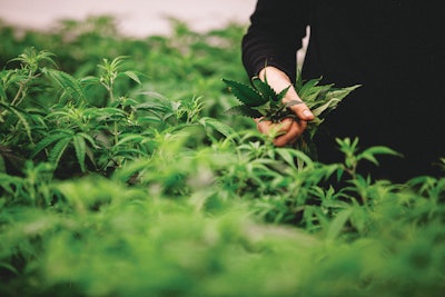 Sustainable Growing2
