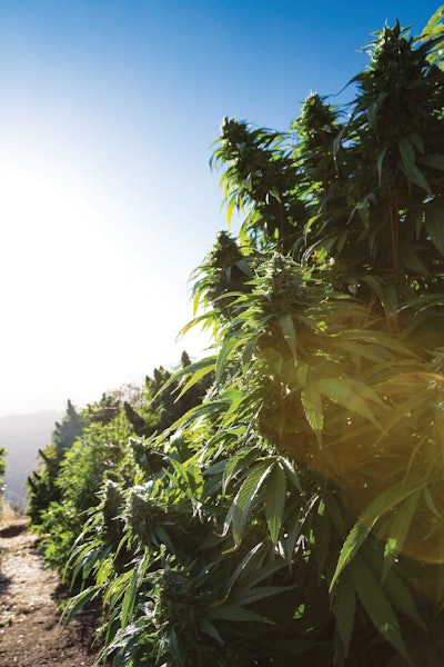 Adobe Stock 134764161 Fmt