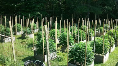 Bcf Resized 20170721 094106 Resized