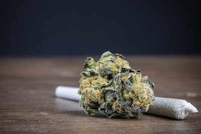 Bud And Joint Adobe Stock Credit Best Stock Foto Resized