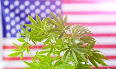 Cannabis American Flag Adobe Stock Credit Elroi Resized