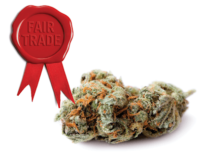 Cannabis Fair Trade Fmt