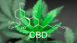 Cbd