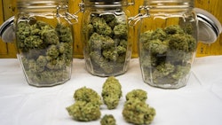 Marijuana Buds In Jars Adobe Stock Credit Brent Resized
