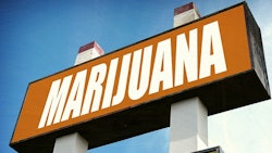 Marijuana Sign Adobe Stock Credit Jdoms Resized