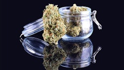 Medical Marijuana In Jar Adobe Stock Credit Trimailova Resized