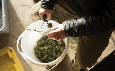 Pf Select Farm Lifestyle 69 Fmt