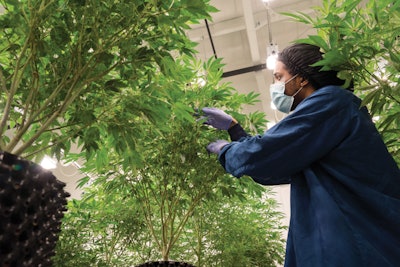 Theory051018 078 Fmt