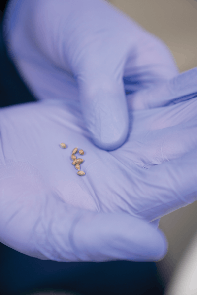 Theory051018 139 Fmt