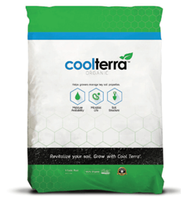 46553 Cool Terra Poly Front Fmt