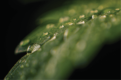 Adobe Stock 143446818 Fmt