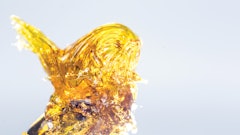 Adobe Stock 145829684 Fmt