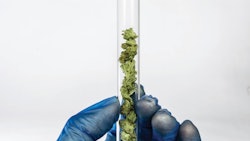 Adobe Stock 145833005 Fmt