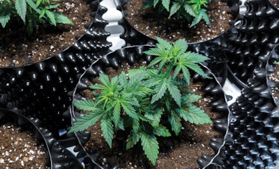 Adobe Stock 186057654 Fmt